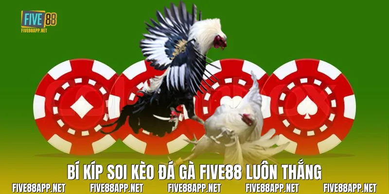 Bí kíp soi kèo Đá Gà Five88 luôn thắng