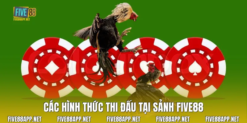 Các hình thức thi đấu tại sảnh Five88