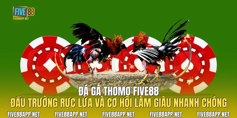 Đá Gà Thomo
