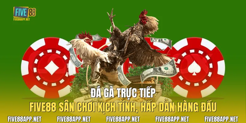 Đá Gà Trực Tiếp