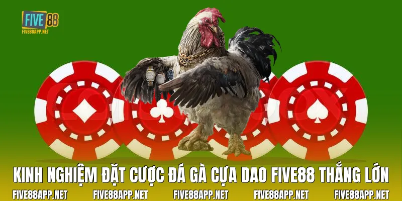 Kinh nghiệm đặt cược Đá Gà Cựa Dao Five88 thắng lớn
