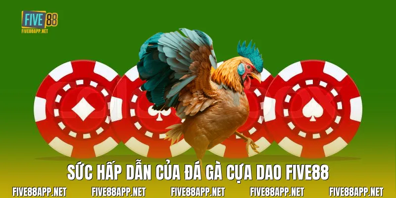 Sức hấp dẫn của Đá Gà Cựa Dao Five88
