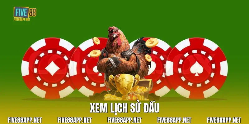 Xem lịch sử đấu
